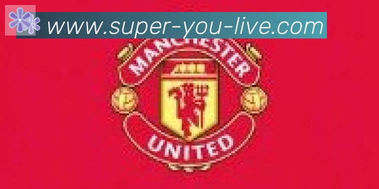 KU游体育合作伙伴